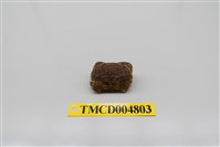 藏品(絨毛仿銀杏蟹)的圖片